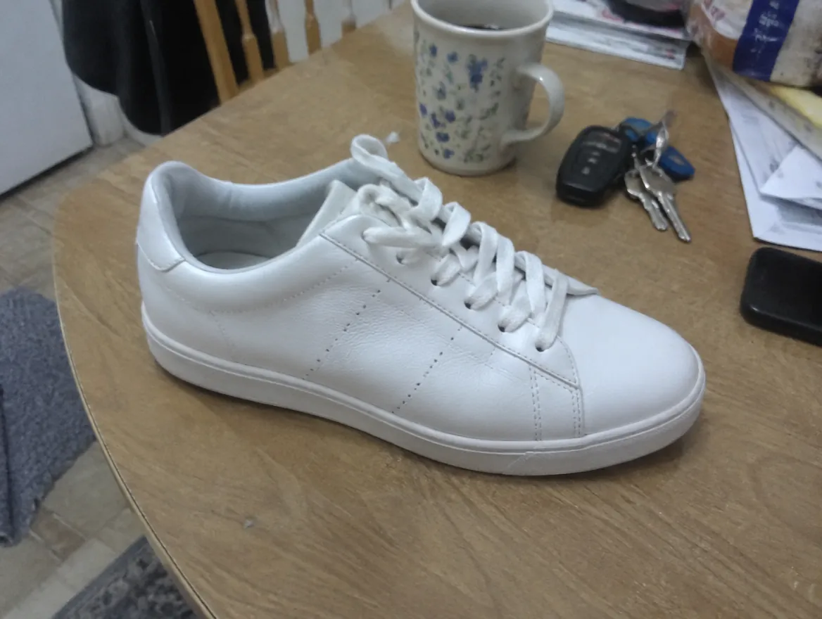 Phone snapshot of a white trainer on a kitchen table